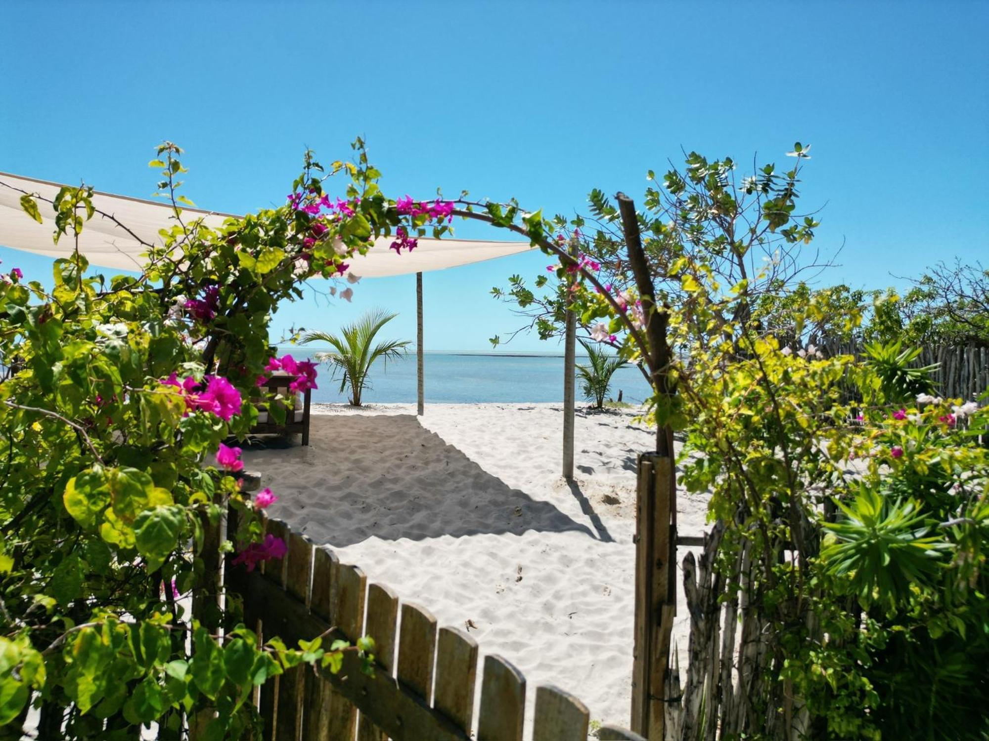 Casa Camurupim Barra Grande  Exteriér fotografie
